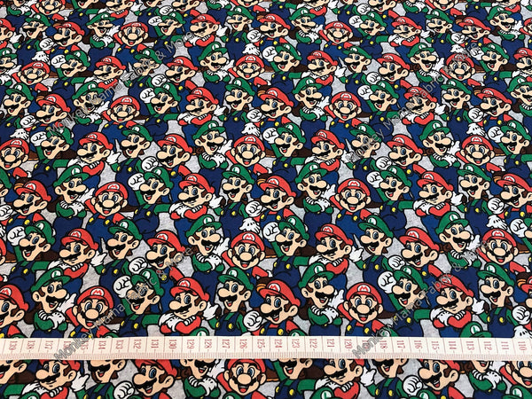 LC1282 Super Mario & Luigi Packed