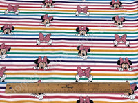 LC846 Minnie Mouse Rainbow Stripes