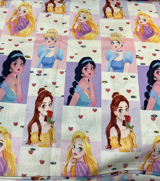 LC1869 Princesses blocks