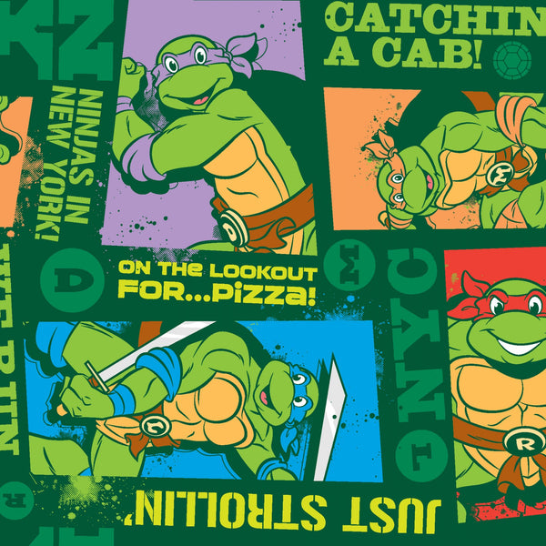 LC2581 Teenage Mutant Ninja Turtles TMNT Run This City